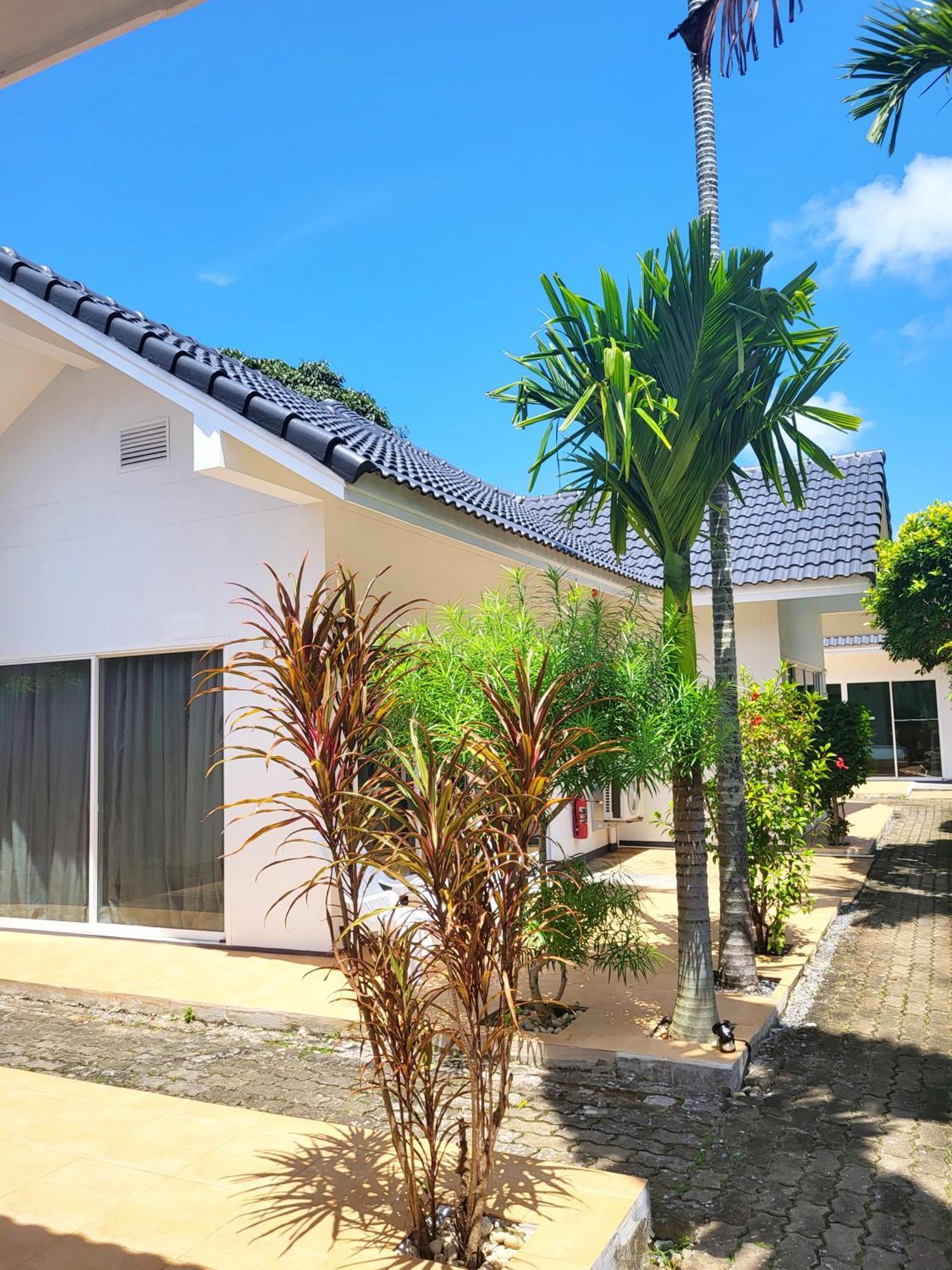 Resor Blue Palm